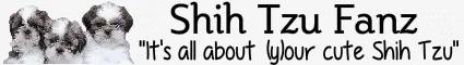 Shih Tzu Fanz | For Passionate Shih Tzu Fans