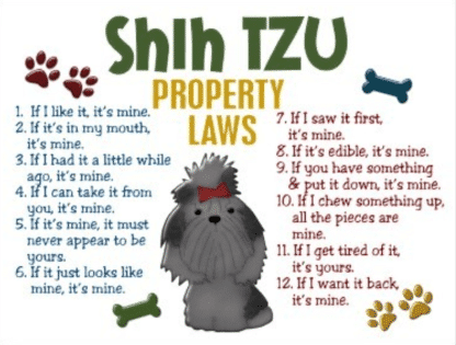 Shih Tzu Property Laws