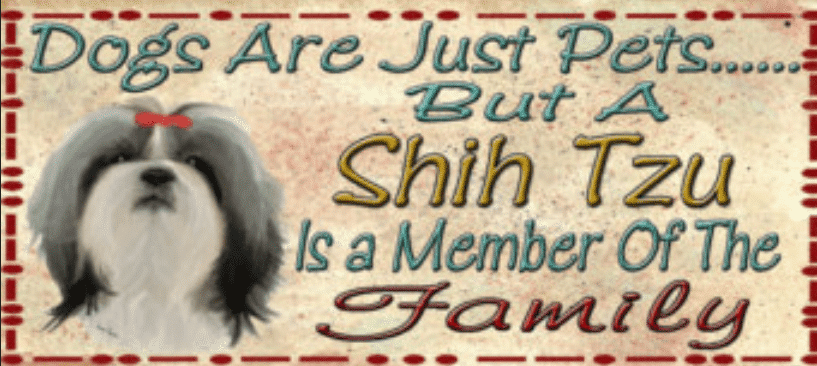 Shih Tzu Is A Member Of The Family